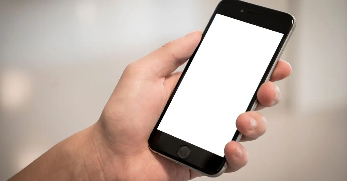 Comment choisir le bon smartphone pour la photographie