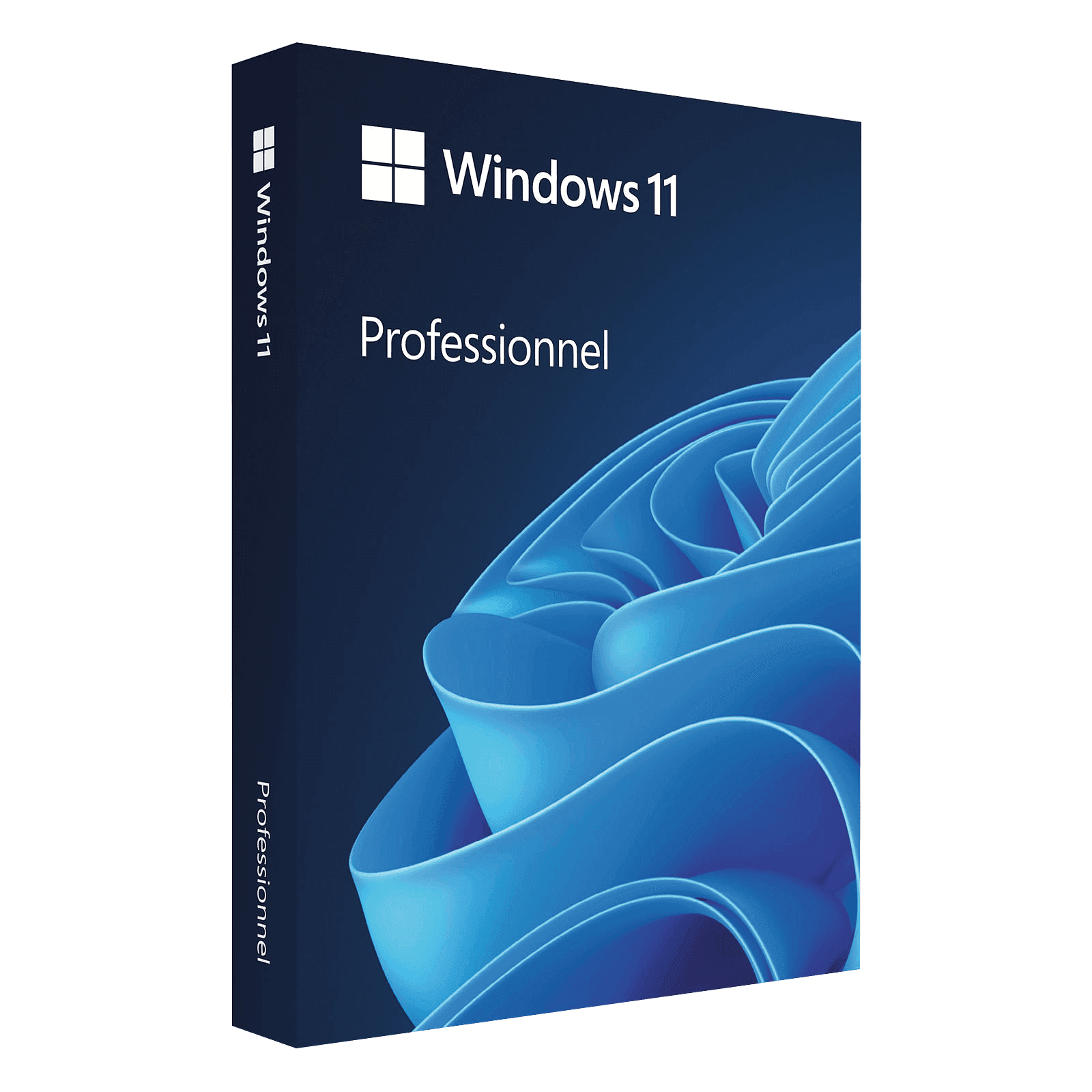 Microsoft Windows 11 Professionnel | 1 PC | Téléchargement